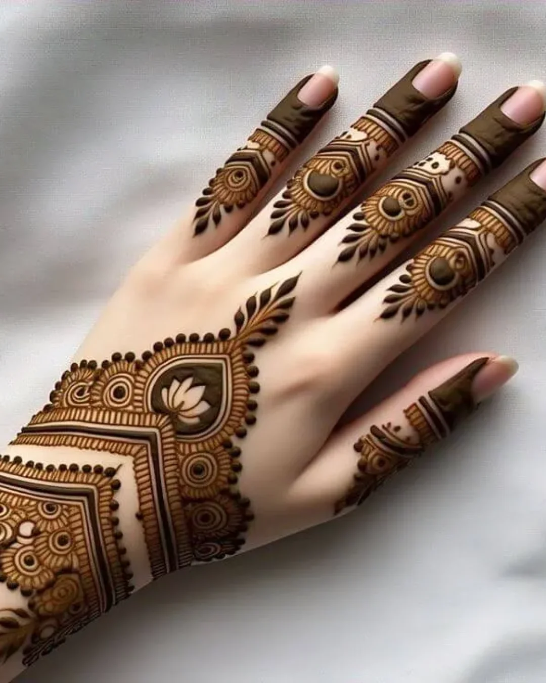 imgi_6_a594bbb0c7b0525de3d806ecc307de96_g3mtc_736